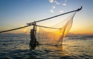 Aplicación para Detectar Peces en Tiempo Real